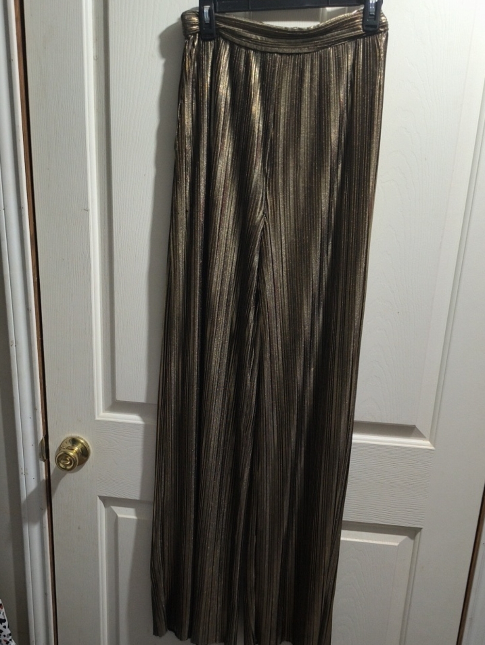 Metallic Pleated Maxi Pants in Gold
